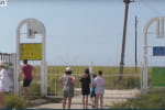 Острів Бірючий: чому унікальний екопарк, попри обіцянки ОП, досі недоступний для відвідувачів