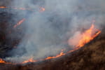 В России горит почти миллион гектаров леса