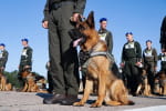 Чеканили парадный шаг: военные провели первую репетицию ко Дню Независимости – фото