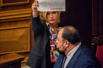 "Слуги умножили парламент на ноль, заблокировав право оппозиции на поправки": Геращенко о голосовании за олигархический закон