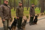 Шукають зброю, затримують злочинців: як проходять змагання кінологів та їхніх службових собак на Київщині