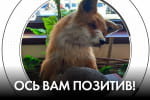 Чи зможуть позитив-блогери всі зради перекувати в перемоги – "Час Ч"