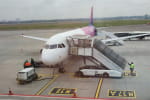 Wizz Air відновлює польоти до москви через "великий попит"