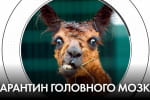 Когда и как "вата" споет "Батько наш Бандера" и приключения антивакцинаторов – "Час Ч"