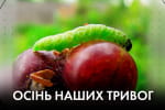 Газ для Бени и как Ющенко с Шарием Рассею с колен поднимали – "Час Ч"