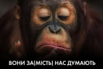 Навстречу политическому кризису: когда начнется массовый камин-аут "лохов" – "Час Ч"