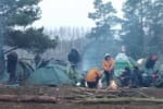 Польські прикордонники зафіксували декілька спроб прорив мігрантів зі сторони Білорусі – відео 