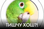 Не такий страшний Путін, як палець Лероса, та чим "Вовина тисяча" краща за "Юліну тисячу" – "Час Ч"