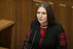 "ЄС" вимагає створити реальну ТСК у справі "вагнерівців" і надати охорону ключовим свідкам – Федина
