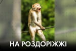 Чому за наші гроші купують совєтсько-русскій шлак – "Час Ч"