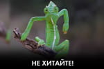 Чем глубже в "Вагнергейт", тем свой Ермак ближе к телу – "Час Ч"