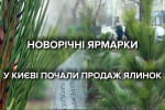 На любой вкус и кошелек: в Киеве открылись елочные базары – сколько придется выложить за дерево