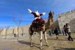 Слоны в костюмах Санты в Таиланде и сказочные дедушки верхом на верблюдах в Иерусалиме: как страны готовятся к праздникам