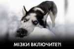 Весна далеко, чи будуть саджати? – Роман Безсмертний у "Час Ч"