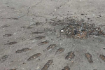 В Николаеве снаряды оккупантов разорвались у остановки: есть погибшие