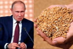 россия выходит из &quot;зернового соглашения&quot;: что снова задумал бункерный дед ‒ сюжет