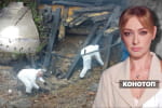Нападу на Польщу не було, але загроза зберігається – "Незламна країна"