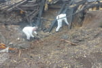 Польща завершила розслідування вибуху ракети в Пшеводуві – ЗМІ повідомляють, що вона таки українська