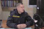Кіт-рятувальник живе у пожежній частині на Черкащині: які обов'язки в чотирилапого на службі
