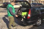 В Днепре работает пес-таксист по имени Бени: как реагируют пассажиры – сюжет