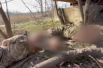 На Донеччині прикордонники взяли у полон трьох окупантів  – відео