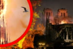 "Руйнується на очах": 5 років тому пожежа знищила частину Нотр-Дам де Парі – сюжет