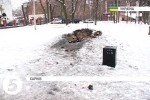 У Харкові вандали знищили меморіальну дошку УПА