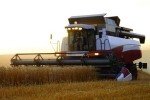 На Рівненщині стартували жнива: що кажуть фермери – сюжет