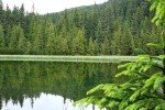 В Украине стало больше заповедных территорий – Минэкологии