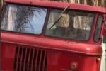 Ущент згоріло 3 ​​гектари восьмирічних сосен: які наслідки війни для природного парку "Святі гори" на Донеччині
