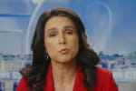 Директорка американської розвідки Габбард розкритикувала українську владу за "відсутність демократії"
