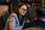 Свириденко анонсувала аудит витрат і подала новий склад Кабміну до Верховної Ради