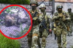 Ворог вже в Покровську? Дрони долетіли до Підмосков'я, поставка Patriot від Німеччини затягнеться – хроніка 1242-го дня Великої війни