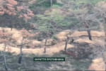 FPV-дроны пограничников уничтожили позиции оккупантов на юге &ndash; видео