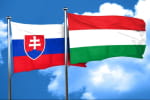 США обговорять із Угорщиною та Словаччиною відмову від російських енергоносіїв
