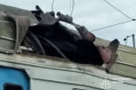 В Харьковской области вражеский дрон поразил электричку: один человек погиб, есть пострадавшие