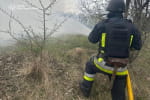 війська рф атакували Житомирщину: є загибла