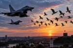 В Литве из-за стаи птиц объявляли воздушную тревогу: в небо были подняты истребители НАТО