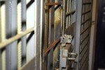 Украинские правоохранители предотвратили заказное убийство американца: виновника и соучастника взяли под стражу