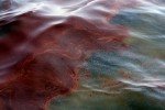 Екологічна катастрофа: до Баренцевого моря течуть десятки тонн нафти