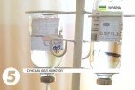 Нове отруєння на весіллі: на Закарпатті в лікарню потрапили 29 осіб