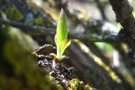 Какой погоды ждать перед выходными и где возможны морозы – синоптик