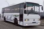 Депутати підтримали збільшення штрафу майже у 20 разів за відмову перевозити пільговиків