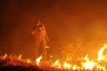 У бойовому зіткненні один український боєць зник безвісти, ще один поранений