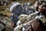 ООС: окупанти гатили з мінометів, а також вели вогонь на ураження по мирному населенню