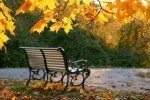Дощі, заморозки та потепління до +19°С: прогноз погоди на середу