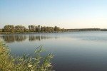 У Луганській області після купання госпіталізували 15 дітей