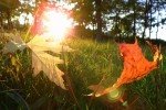 Останні теплі дні: синоптик прогнозує різке похолодання