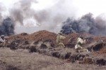Найгарячіші ділянки фронту та втрати української армії: у Міноборони розповіли про обстановку в АТО