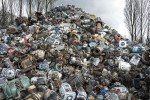 У Китаї виявили вид плісняви, що здатний руйнувати пластмасу